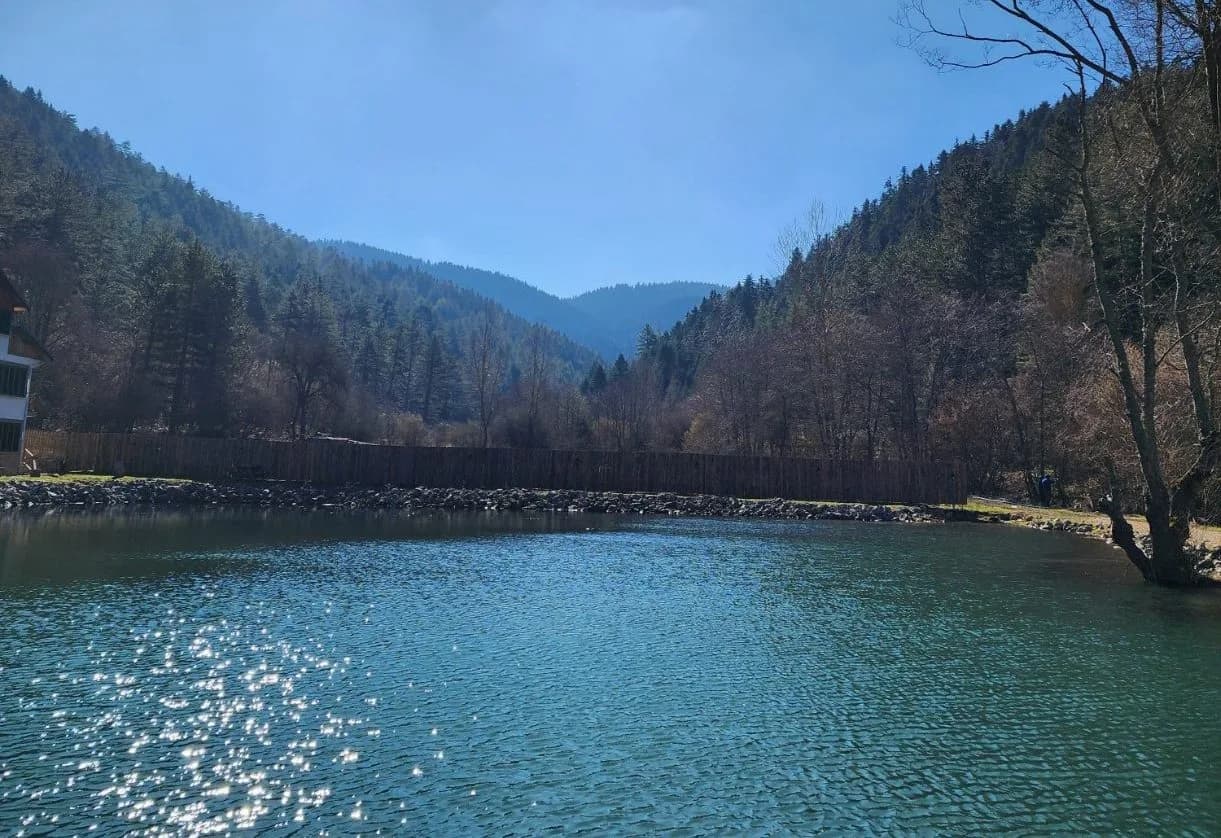 Abant Vadi Bungalov Ve Dağ Evleri – Abant Bungalov – Fotoğraf 4